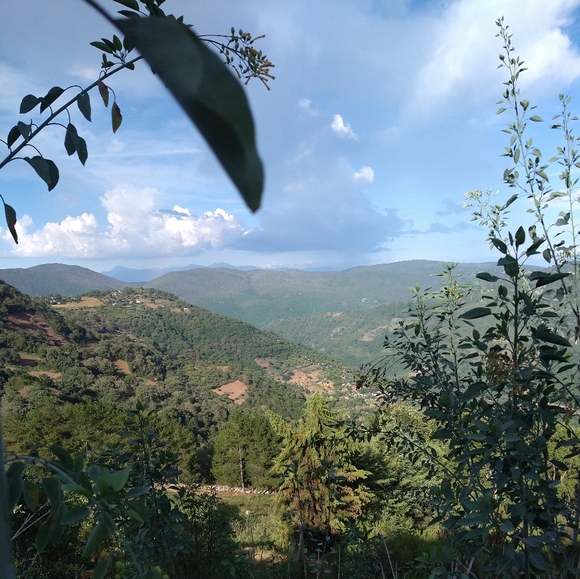 Meet your Posher, Dawn - Picture 1 of 1